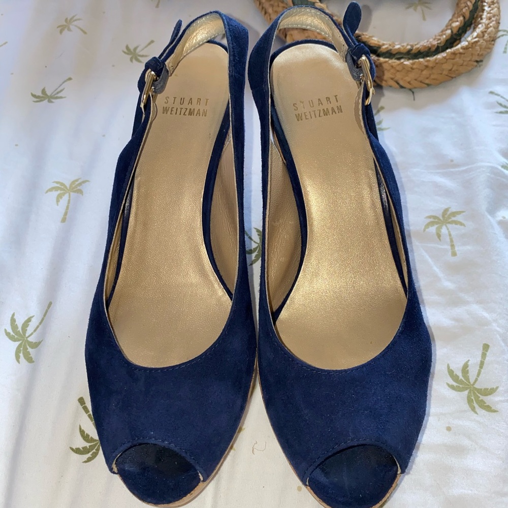 Stuart Weitzman Suede Wedge